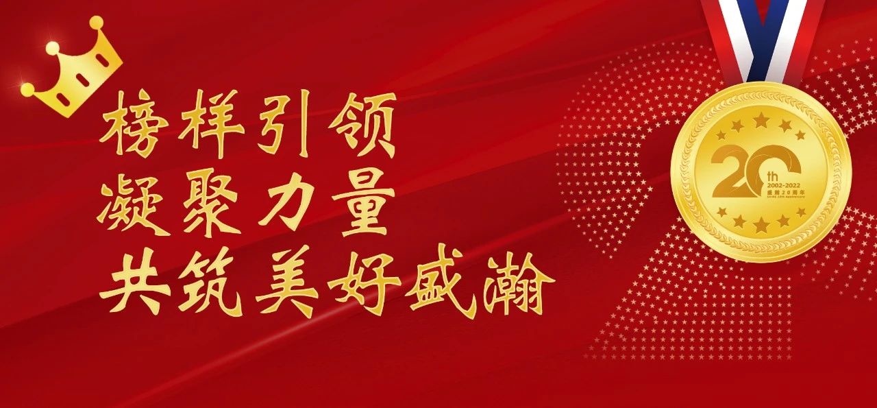 盛瀚之星 | 榜樣引領 凝聚力量，共筑美好盛瀚